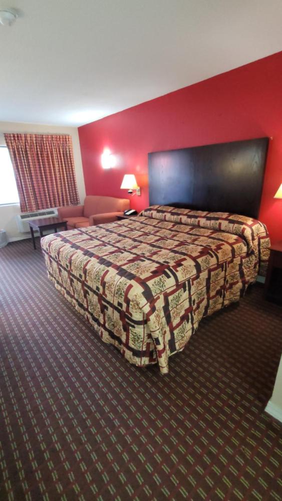 Budget Single Room interior